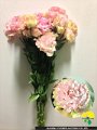 56 LP大輪フリンジ
